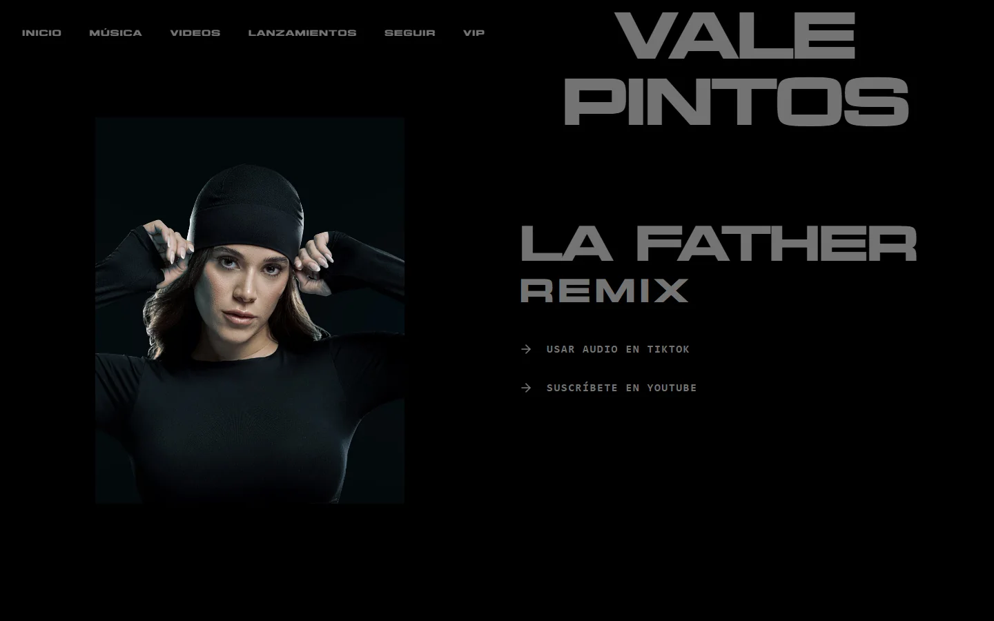 Vista del proyecto Vale Pintos